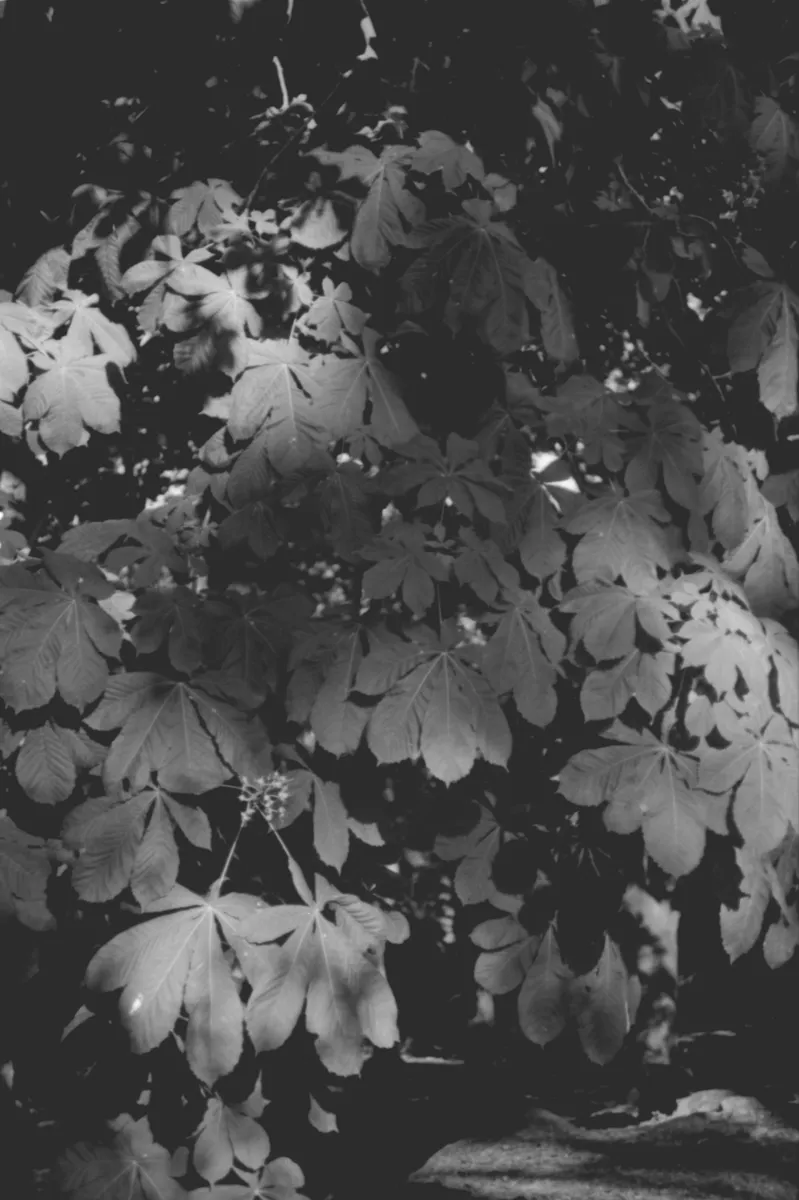 More spring: CFbfcxZ2T8