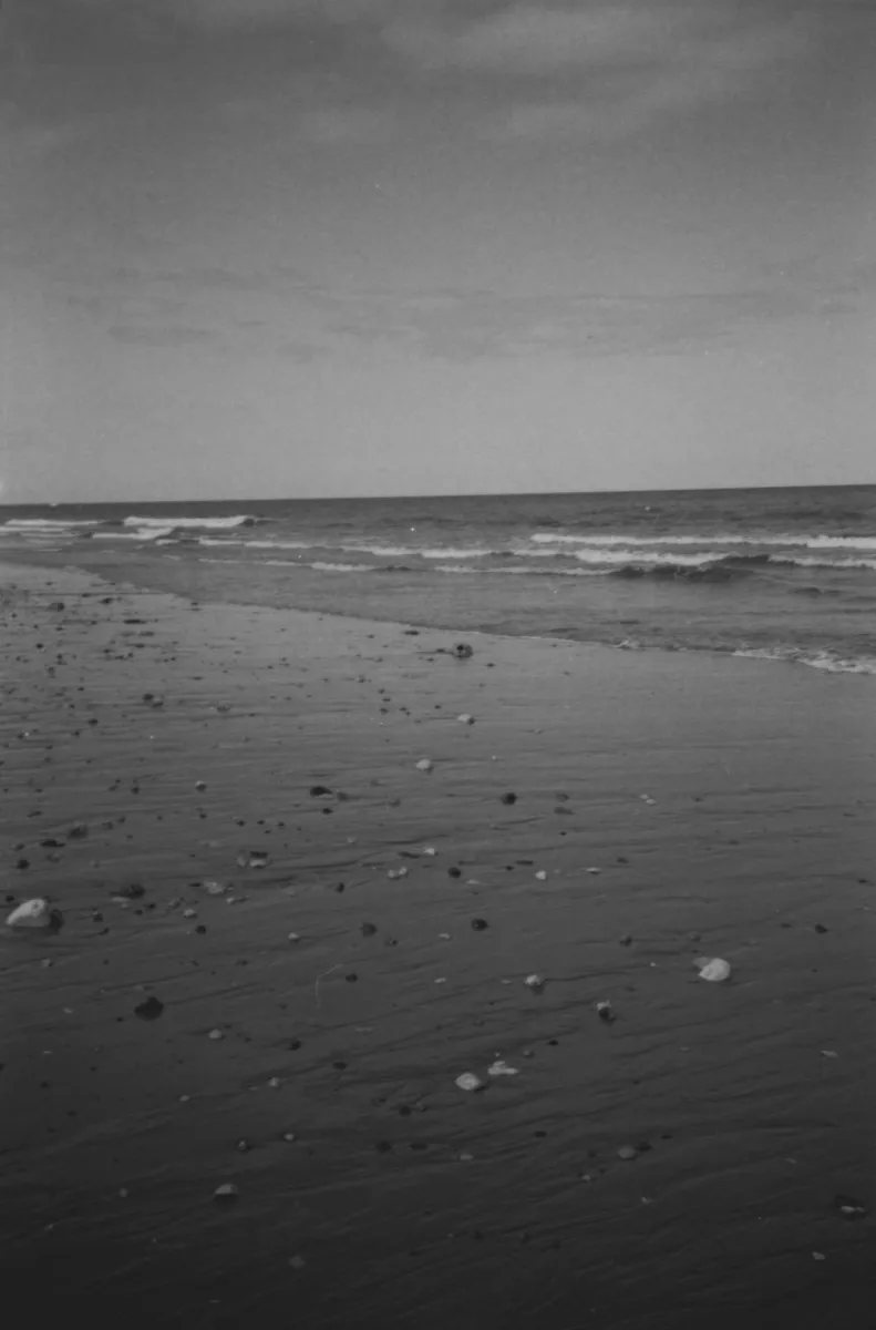 Glass Beach: RrLVd57SiX