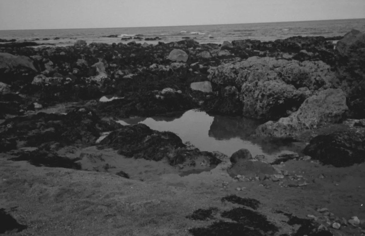 Glass Beach: fFwGeUHhcp