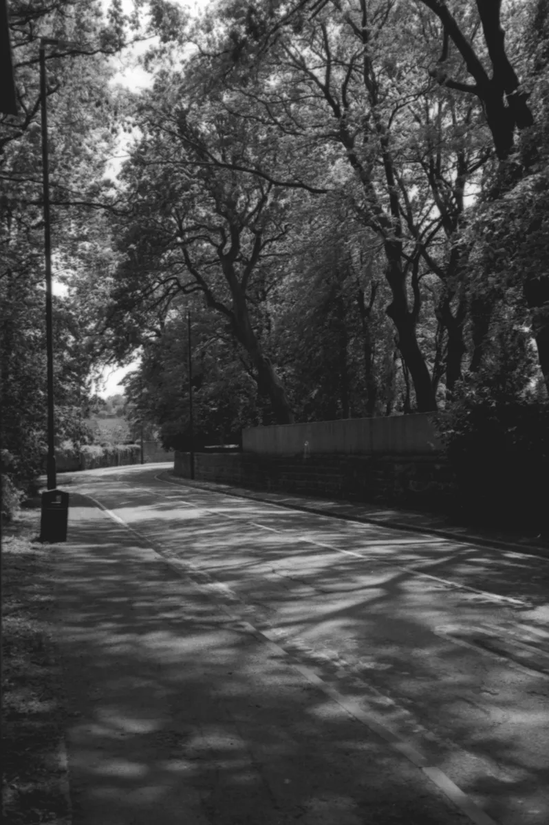 More spring: pCKxfsaAwC